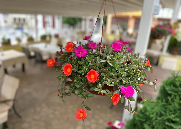 Hotel Anna Palace