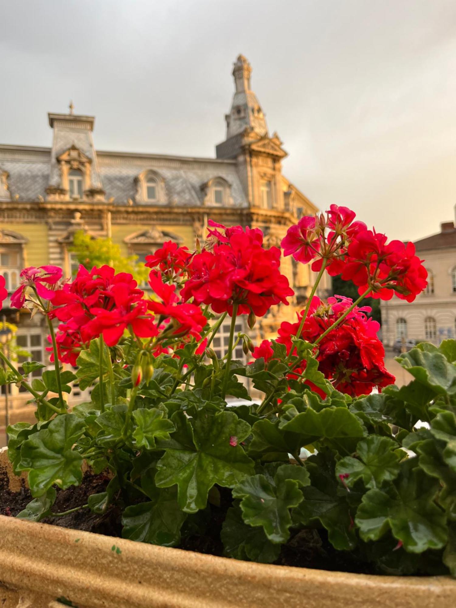 Hotel Anna Palace 4*